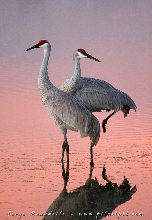 2009-01-04 17-49-15__MG_0210.JPG